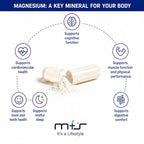 M+S Magnesium Complex 420mg with B-Vitamins - 120 Capsules - image 5