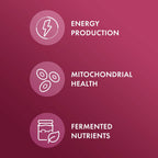Dr. Mercola Organic Fermented Beets Nitric Oxide Booster - 60 Capsules - image 4