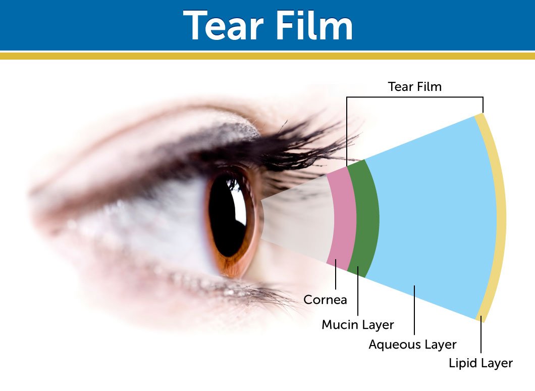 Dr. Whitaker's Eyedrate Eye Hydration Supplement with Omega-3 and Omega-7 - image 4