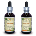 Herbal Terra Sunflower Petal Tincture Liquid Extract - 2x2 fl.oz