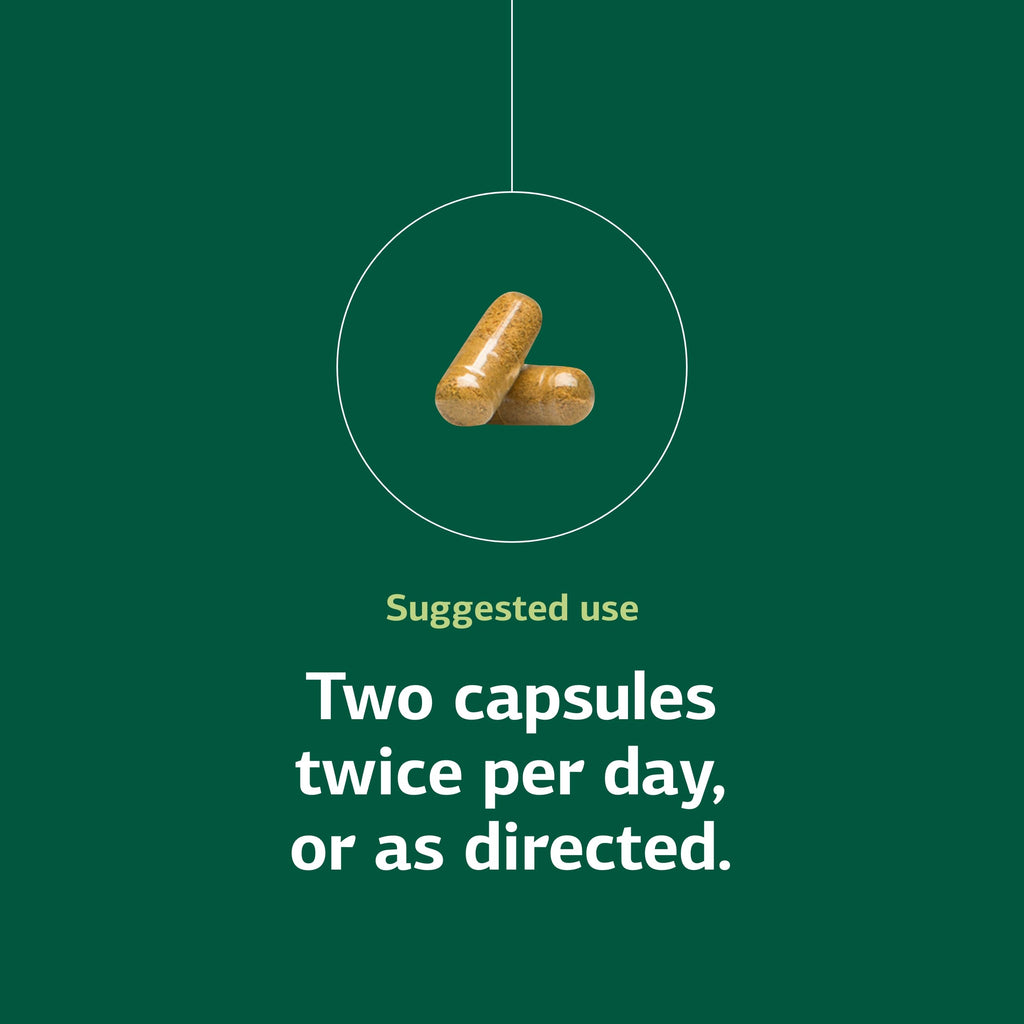 Standard Process Regeneplex Skin Health Supplement - 90 Capsules - image 5
