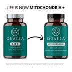 Qualia Mitochondria+ NAD+ Booster for Cellular Energy - 160 Capsules - image 2