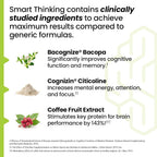 LifeSeasons NeuroQ Brain Power Mental Focus Booster - 60 Capsules - image 3