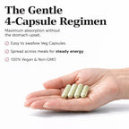 NeuEve Menopause Support Multivitamin for Women - 120 Capsules - image 6