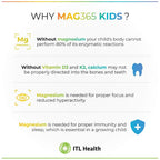 Mag365 Kids Magnesium Supplement - 150g - image 3