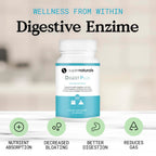 JLM Nutritionals Digest Plus Digestive Enzymes - 60 Capsules - image 4