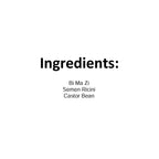 Xi Yao Peng Bimazi Castor Seeds - 100g - image 2
