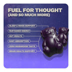 Grüns Gruns Nutrops, Functional Nootropics Mushroom Gummies, Herbal