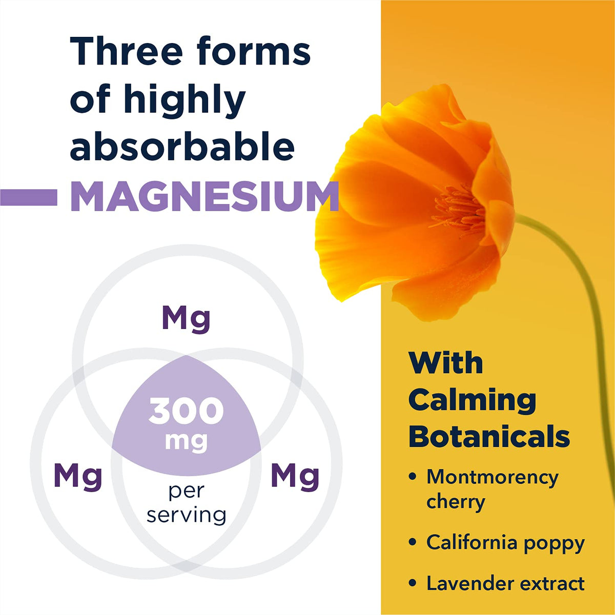 Designs for Health TriMag Supreme Powder Night - 30 Servings - image 3