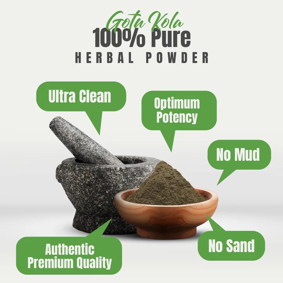Herbsforever Gotu Kola Powder for Mental Clarity - 454g - image 4
