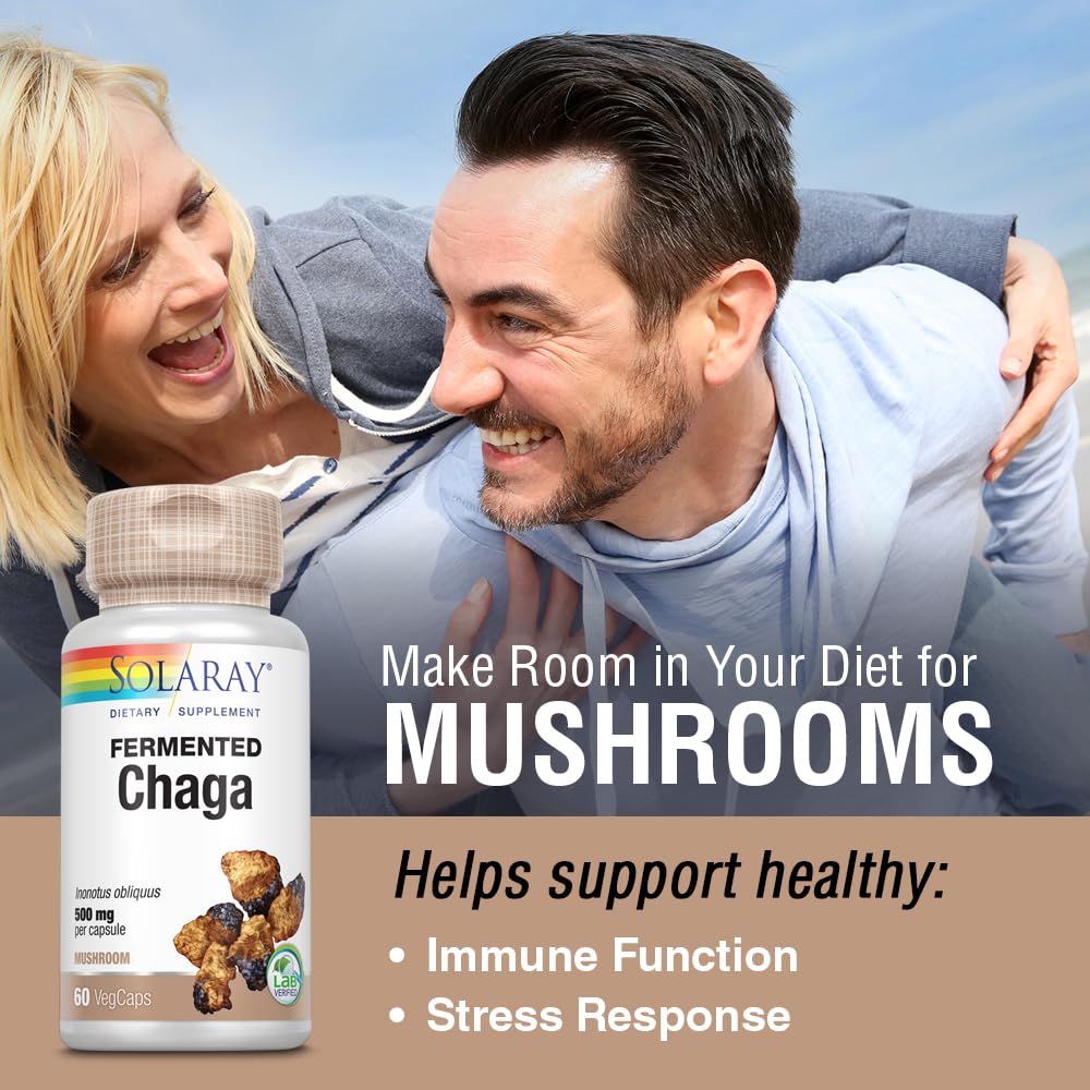 SOLARAY Fermented Chaga Mushroom 1000 mg Immune Support - 60 Vegetarian Capsules - image 3
