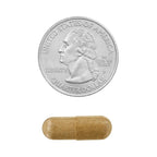 SCHMIDT EMPIRE Echinacea Goldenseal Blend 900 mg - 75 Vegetarian Capsules - image 7