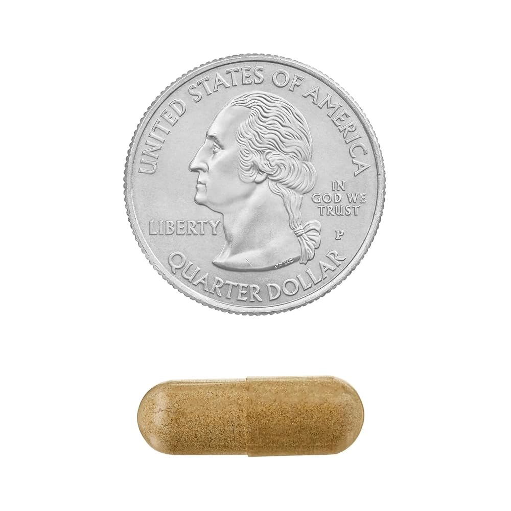 SCHMIDT EMPIRE Echinacea Goldenseal Blend 900 mg - 75 Vegetarian Capsules - image 7