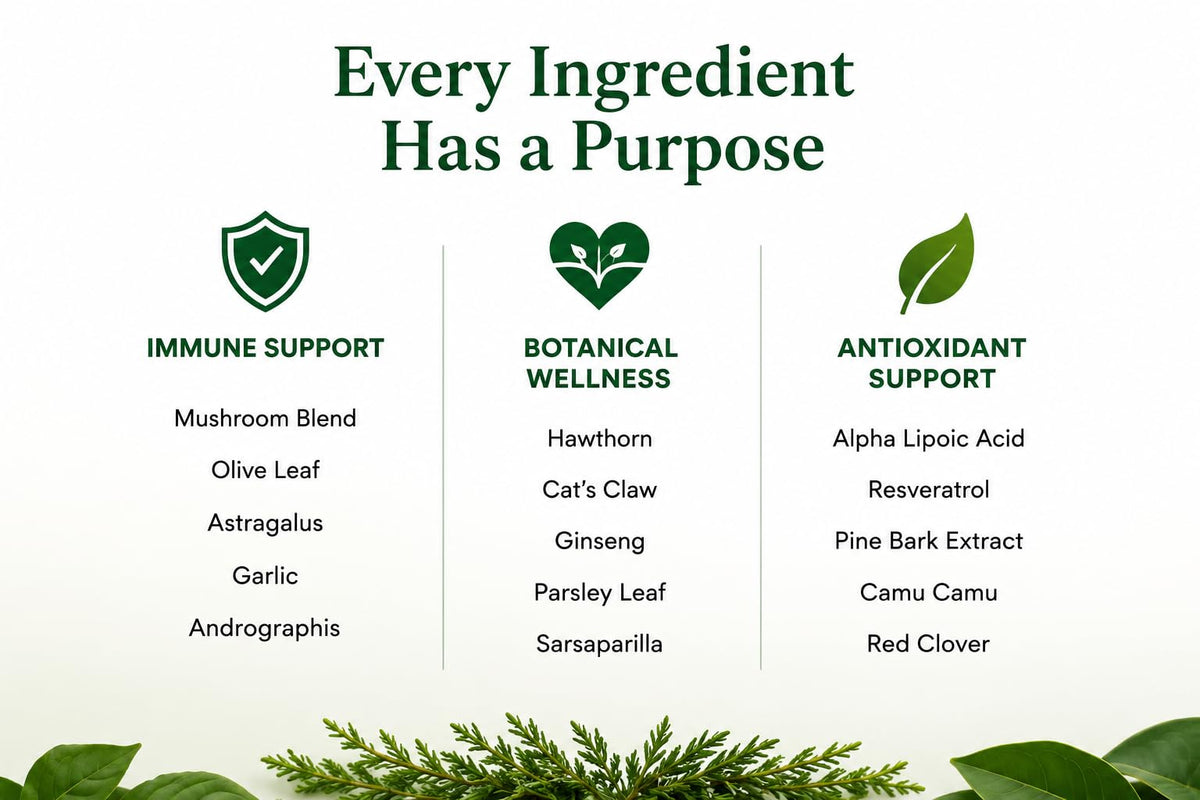 Green Organic Supplements Immune System Enhancer - 90 Capsules - image 3