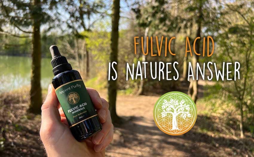 Ancient Purity Fulvic Acid Minerals Trace Minerals Drops - 50ml - image 2