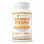Wiseceutical Max Strength Chanca Piedra Kidney & Gallbladder Formula - image 8