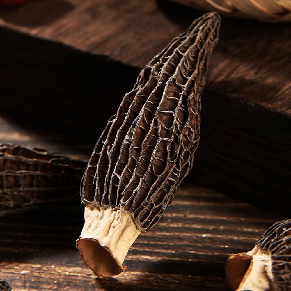 CHLYAET Dried Morchella Morels Mushroom Yangdujun