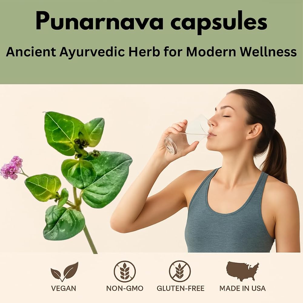 Morsan Healthcare Punarnava Capsules 500mg - 240 Vegetarian Capsules - image 3