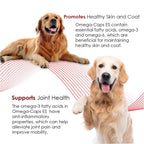 PHS Omega-Caps Extra Strength for Large Breeds - 180 Softgels - image 5