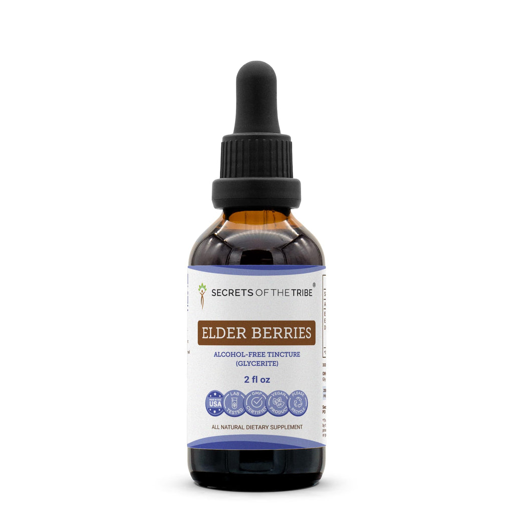 Secrets of the Tribe Elder Berries Glycerite Immune Support - 2 Fl Oz