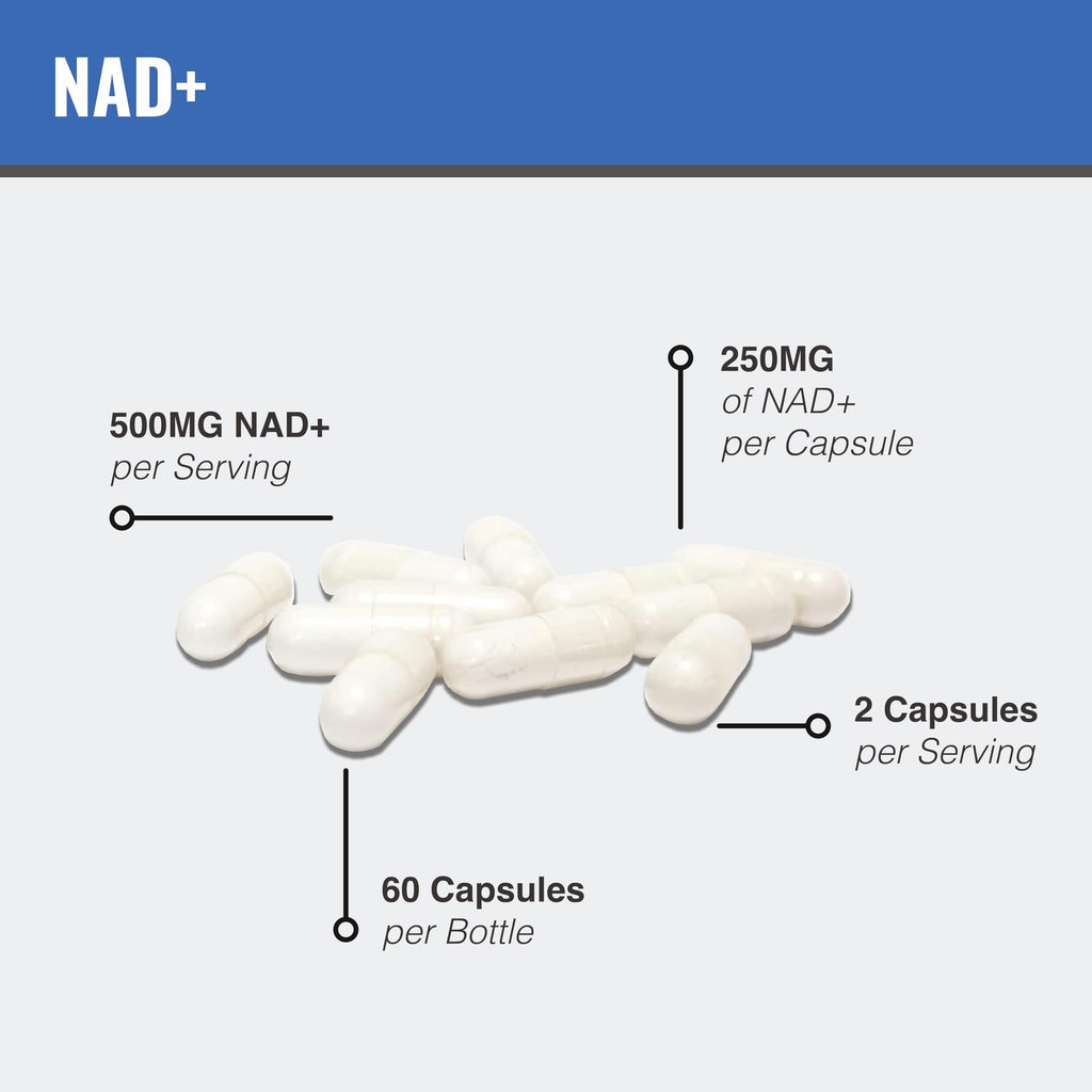 MAAC10 Formulas - NAD+