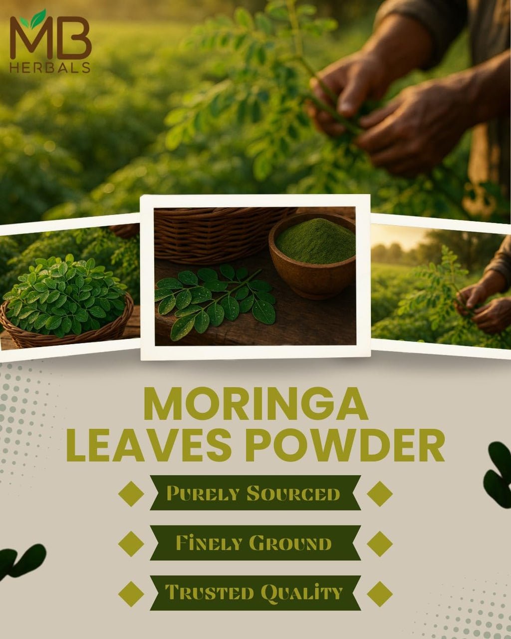MB Herbals HERBAL_SUPPLEMENT