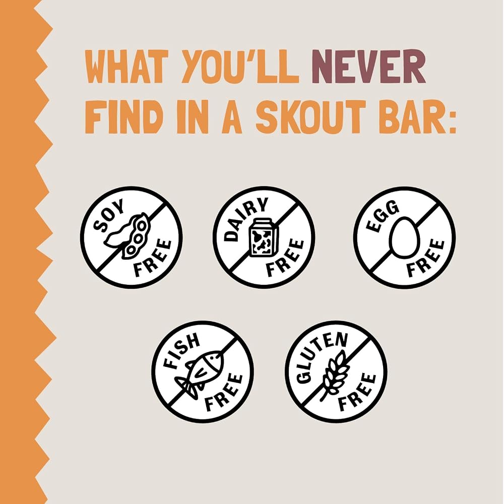 Skout Organic Peanut Butter Plant-Based Protein Bars - 12 Pack - image 5