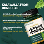 Fuenvegtal Polypodium Leucotomos Extract Immune & Skin Support - 90 Capsules - image 3
