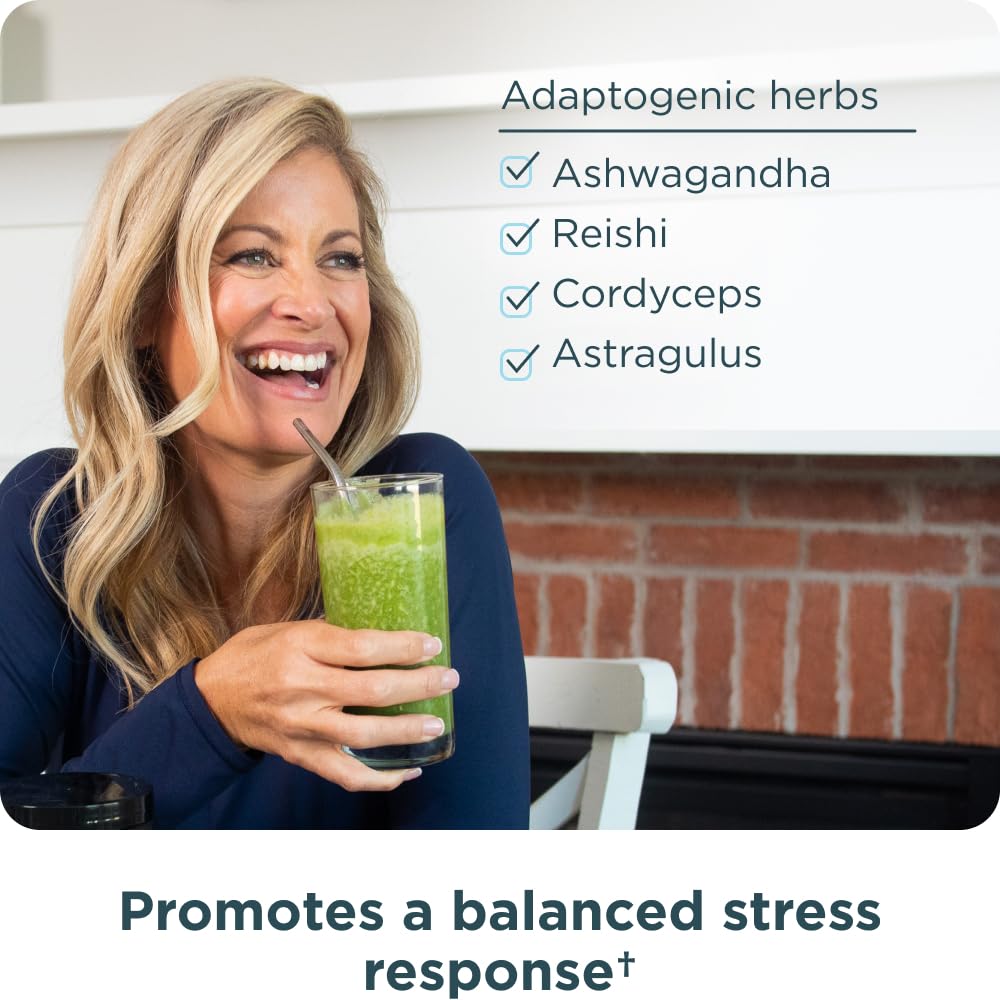 Ancient Nutrition Organic Super Greens Powder with Probiotics - 25 Servings - image 5