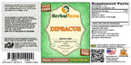 Herbal Terra LLC Dipsacus (Dipsacus Asper) Tincture
