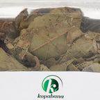 KOPABANA Djeka Leaves Herbal Tea - 1 Ounce - image 8