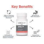 Allergy Research Group DHEA 25 mg Hormone Support - 60 Tablets - image 4