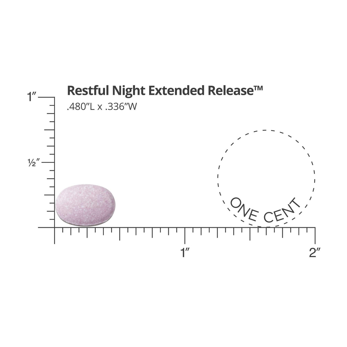 DR.WHITAKER Dr. Whitaker Restful Night Extended Release Melatonin - 30 Tablets - image 3
