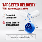 LABO Nutrition NeuroREGAIN Plasmalogen Brain Support - 180 Capsules - image 7