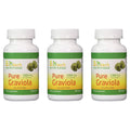 Biotech Nutritions Graviola 1300mg - 360 Capsules (3-Pack)