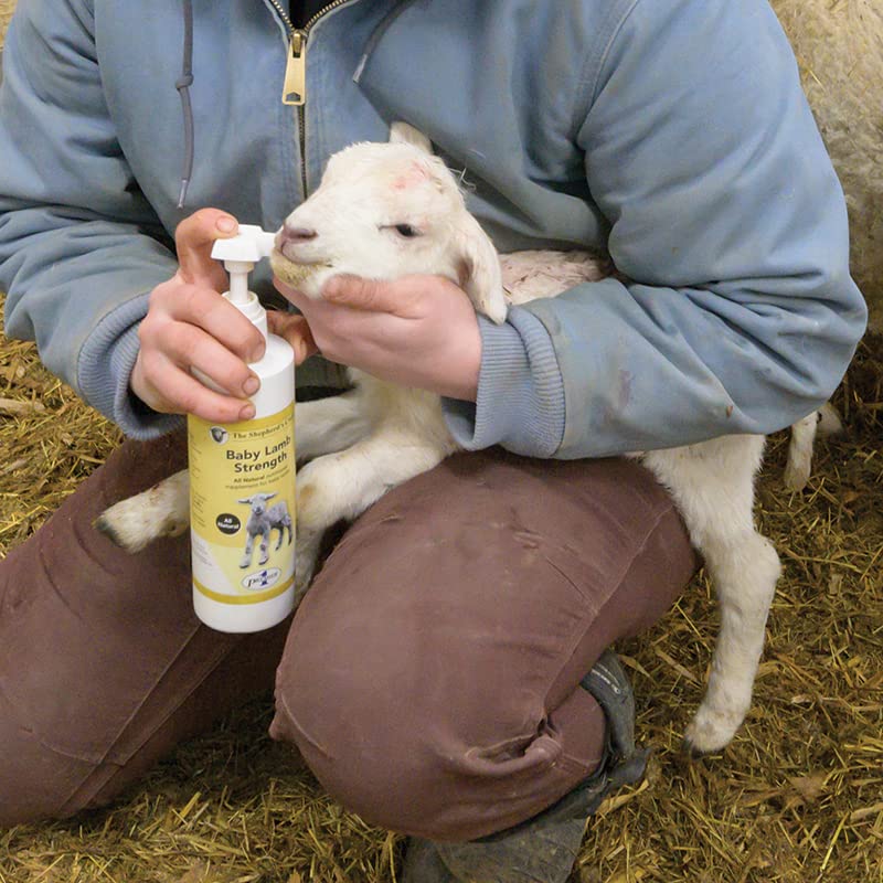 Premier 1 Supplies Baby Lamb Strength Nutritional Supplement - 1 Count - image 4