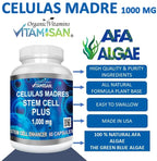 VITAMISAN Celulas Madres Blue Green Algae AFA - 60 Capsules - image 6