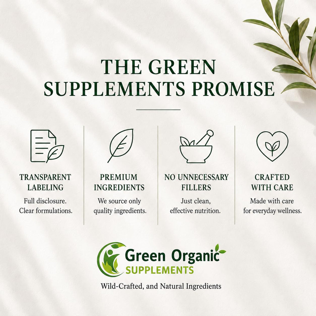 Green Organic Supplements GABA Plus - 90 Capsules - image 5