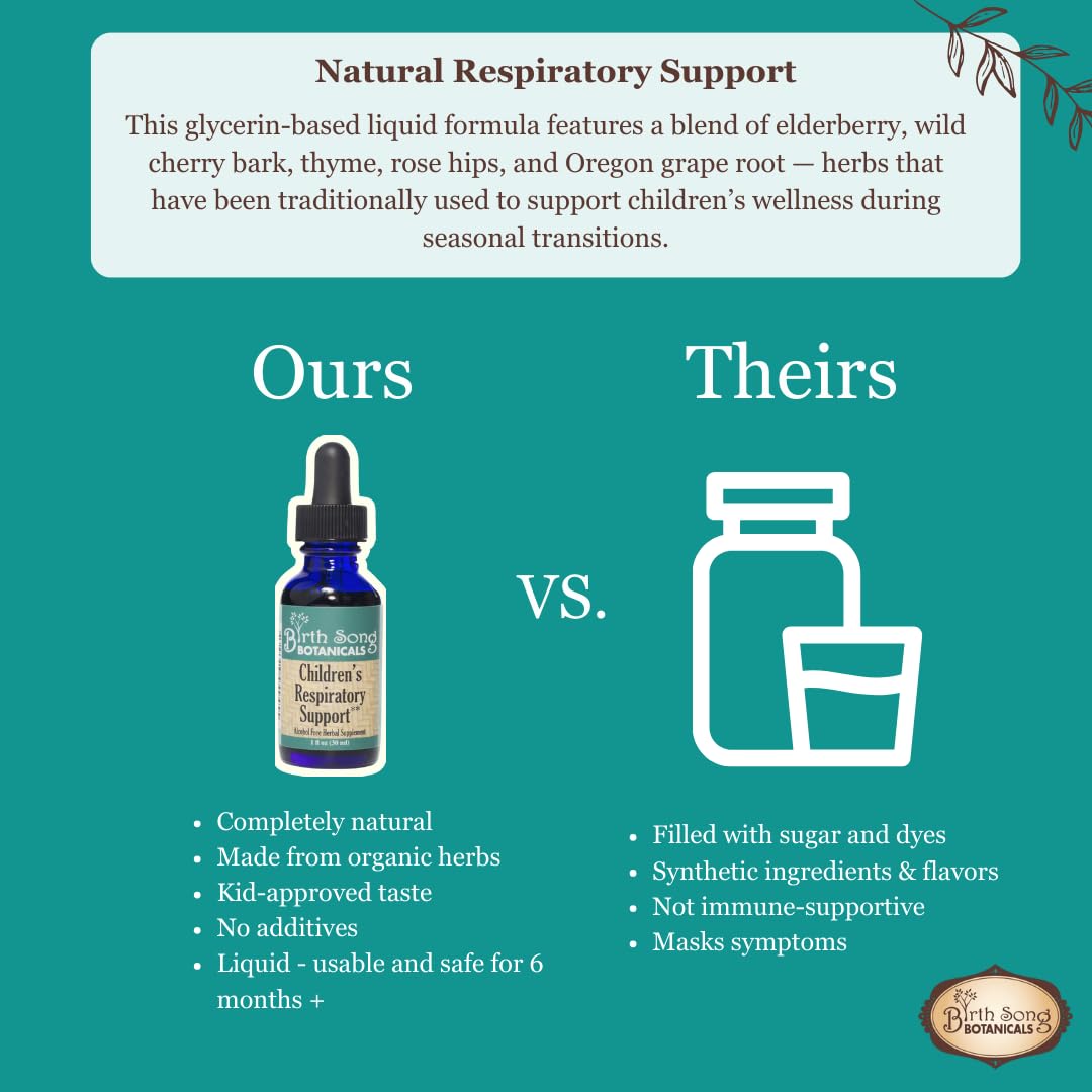 Birth Song Botanicals Children's Respiratory Support Tincture - 1 Fl Oz - image 4