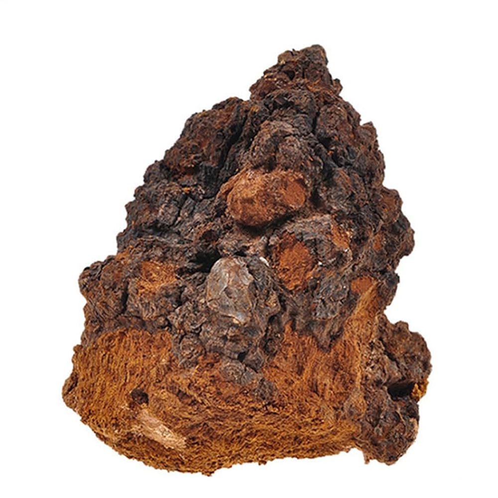 REUEHDS Chaga Mushroom Chunks - 1000g - image 5