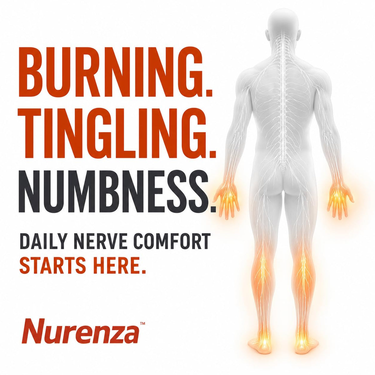 Vita Sciences Nurenza Neuropathy Supplement for Nerve Health - 60 Softgels - image 2