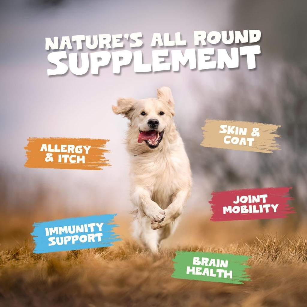 Pets Purest Salmon Oil for Dogs, Cats & Pets - 32 Fl Oz - image 3