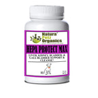 Hepa Protect Max Capsules for Liver and Kidney Health Support - image 2