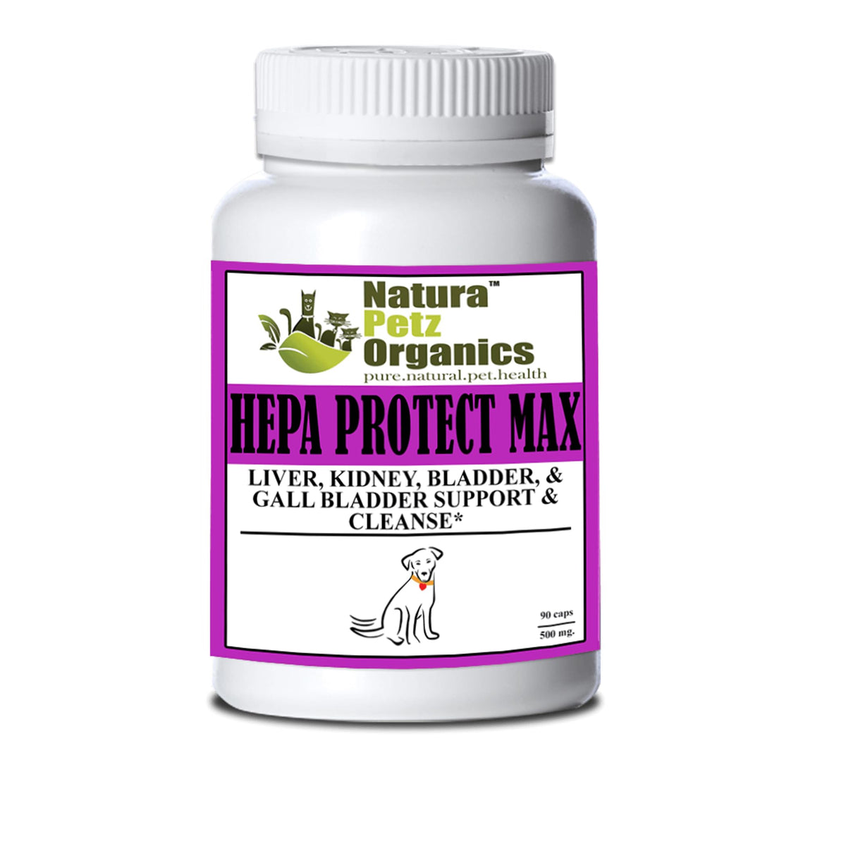 Hepa Protect Max Capsules for Liver and Kidney Health Support - image 2