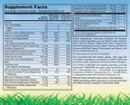 Alebris Health Children's Multi Vitamin - 120 Chewables - image 3
