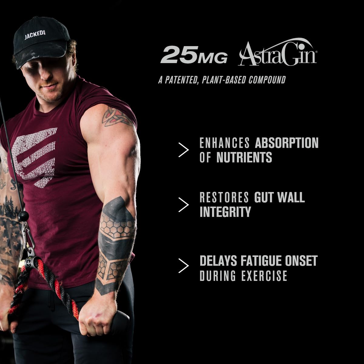 Jacked Factory Build-XT Daily Muscle Builder - 60 Vegetarian Capsules - image 4