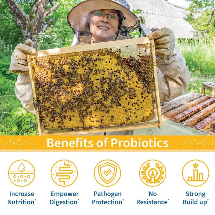 SuperDFM Honeybee Probiotic Supplement - 2,000 Applications - image 3