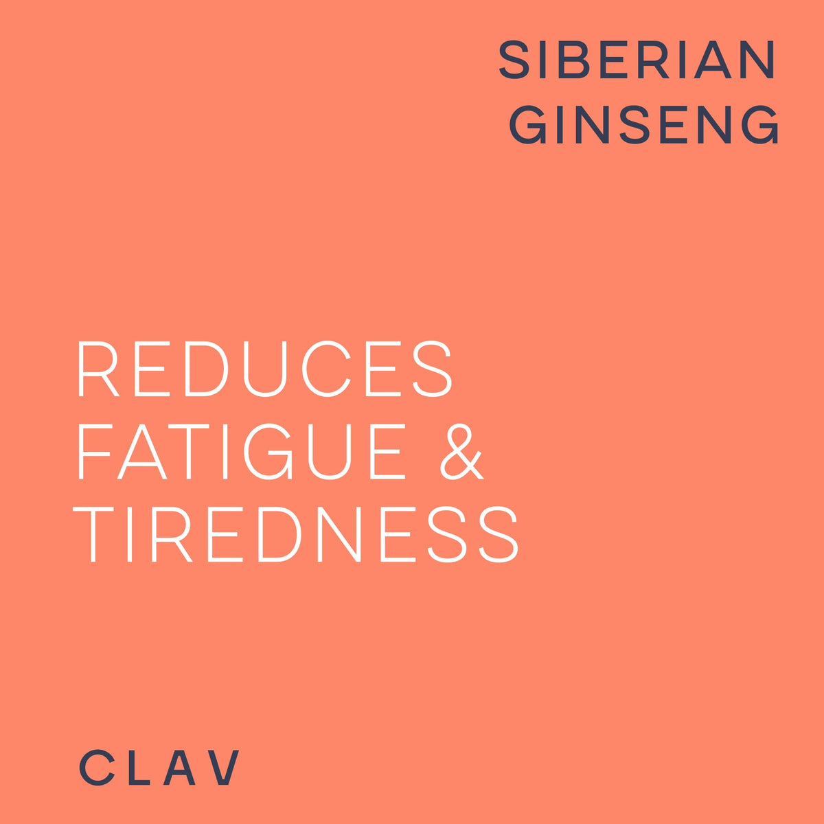 CLAV Siberian Ginseng 900mg Eleutherococcus Root - 60 Capsules - image 5