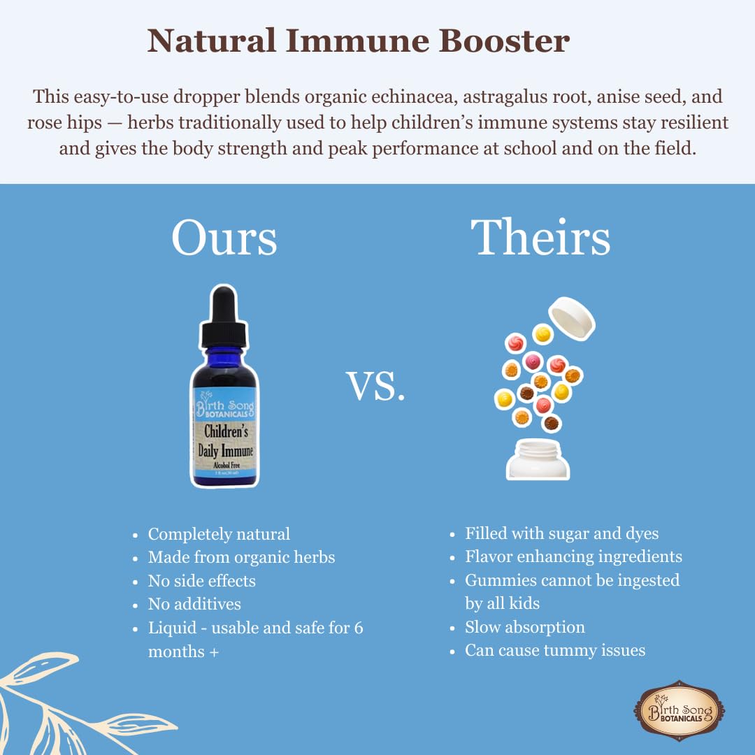Birth Song Botanicals Children's Organic Daily Immune Herbal Tincture - 1oz - image 4