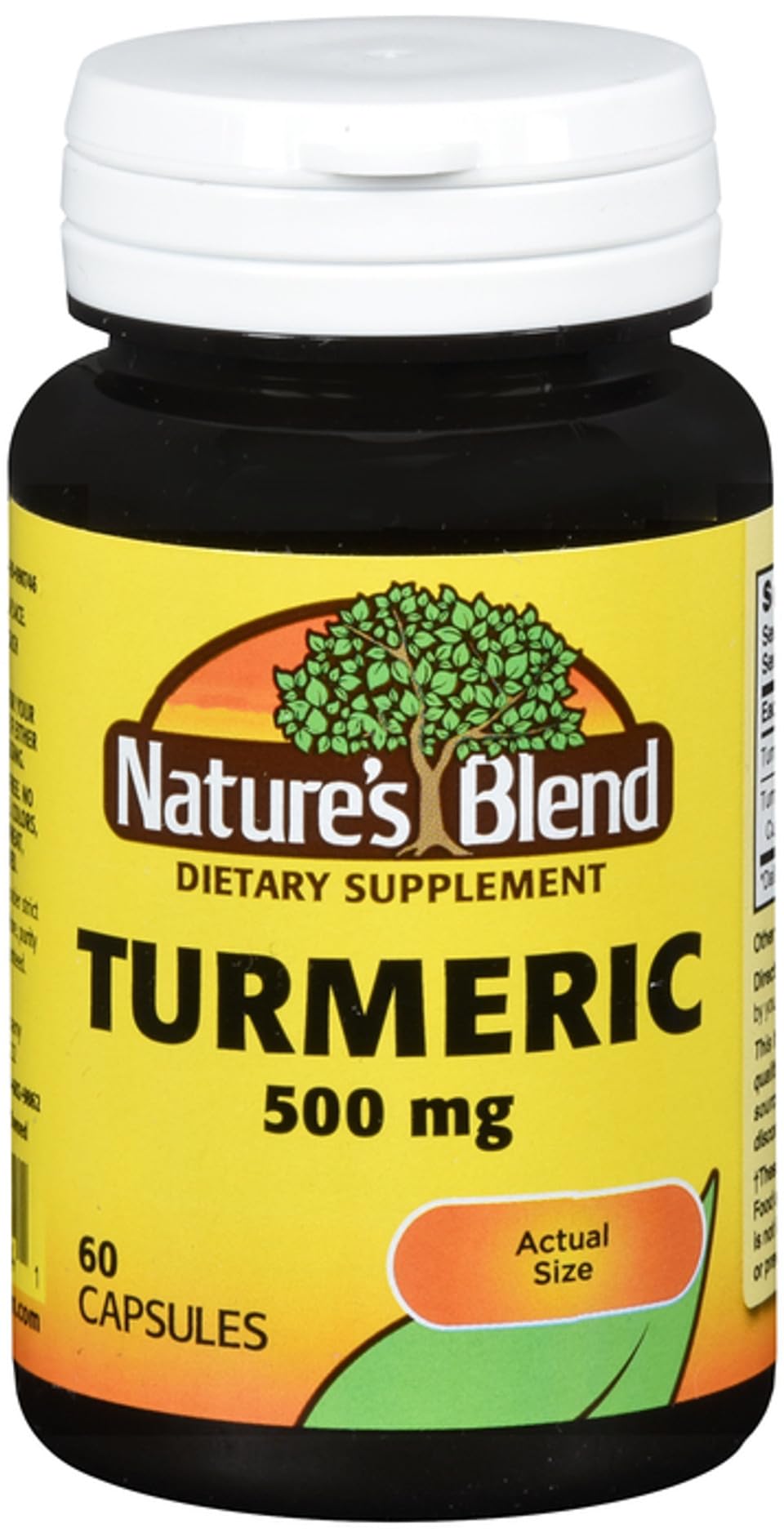 Xllent Nature's Blend Turmeric 500mg